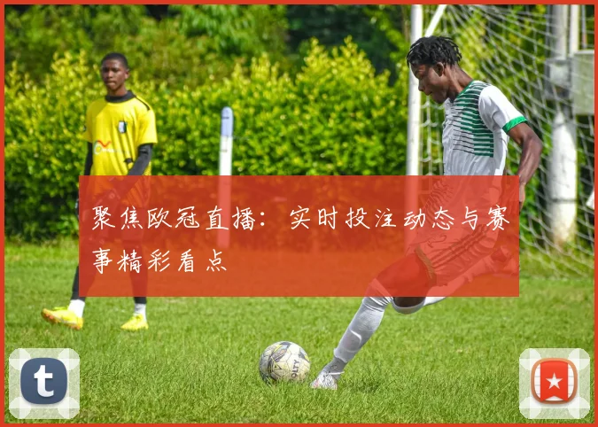 聚焦欧冠直播：实时投注动态与赛事精彩看点